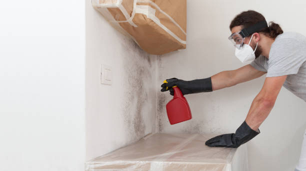 Professional Attic Mold Remediation technician working in Lawrenceville, IL