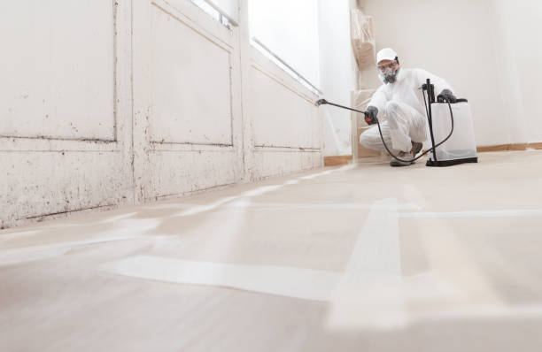 24/7 Emergency Attic Mold Remediation experts in Lawrenceville, IL